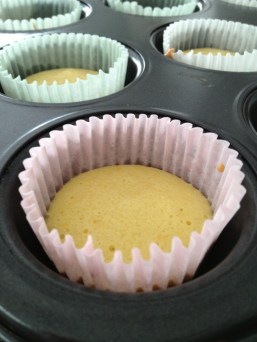 Cake layer, Jaffa cakes